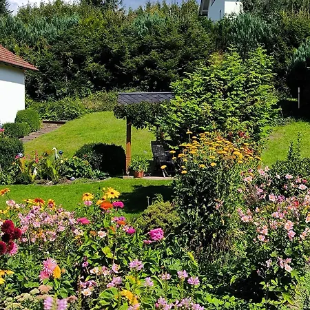 Am Springelbach * Hinternah