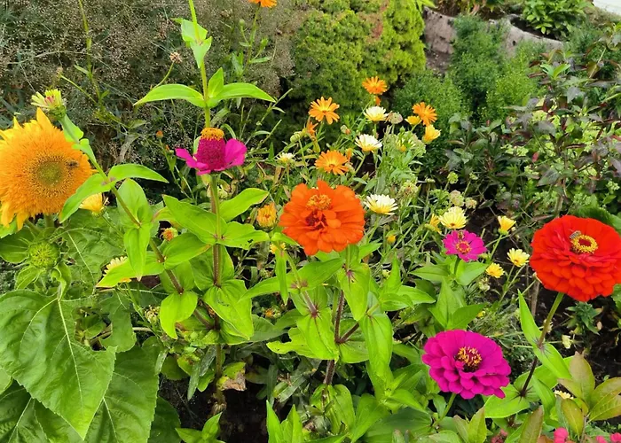 Am Springelbach * Hinternah